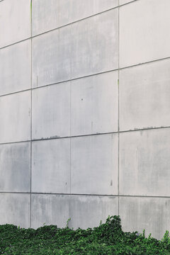 Concrete architecture with a soft minimal facade showing geometry, abstract pattern and texture in a modern structure where detail emerges through natural daylight and clean spatial composition