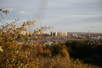 sunset over the river