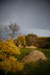 landscape with trees