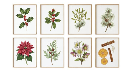 Watercolor Christmas Botanical Set – Holly, Poinsettia, Greens & Spices © Ruwani