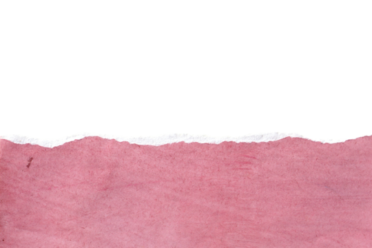 Torn Pink Paper Banner with Ripped Edge. Textured Craft Paper Background Element Isolated on Transparent PNG.