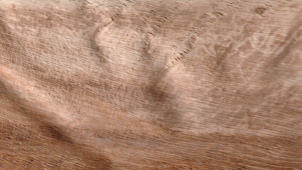  Natural Wavy Wood Grain Texture. Smooth Wooden Surface Background of a Plank or Board for Interior Design.