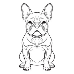 Cute French bulldog and pug puppy portrait isolated on a white background