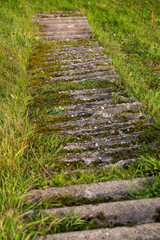 Obraz premium Old concrete steps partially covered by moss and grass in soft morning light. Nature reclaiming forgotten path