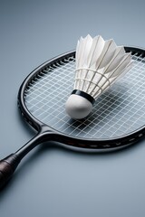 Shuttlecock on racket