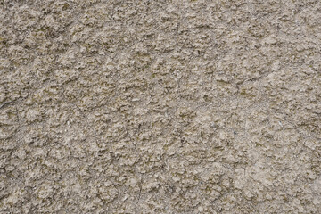 Chalky Soil Texture on Quarry Shoreline, Belarus