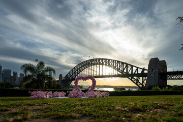 Romantic Sunset Proposal at Kirribilli with Sydney Harbour Views