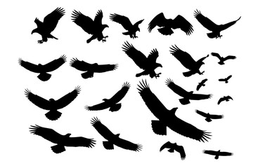 eagle silhouette pack