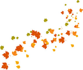  Multicolored autumn leaves in rich red, orange, and yellow hues isolated on a white background. Bright seasonal decor perfect for banners, prints, and fall-themed designs. autumn colored fall leaf te