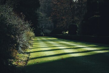 A close-up low angle view of vibrant green grass in a well-maintained garden setting