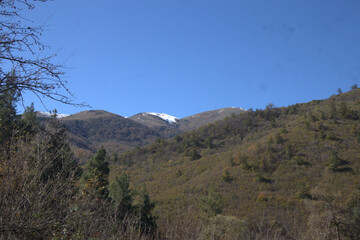Mountain Landscape with Forest and Blue Sky