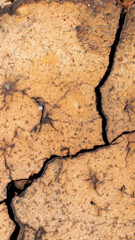 macro photo of an orange brick with visible texture. background