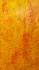 red and yellow apple skin with visible details
