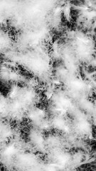 nice white duck down. texture or background