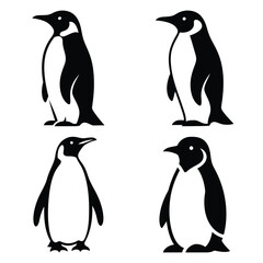 Obraz premium penguin silhouette clipart set