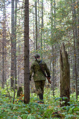 A hunter walks through a coniferous forest