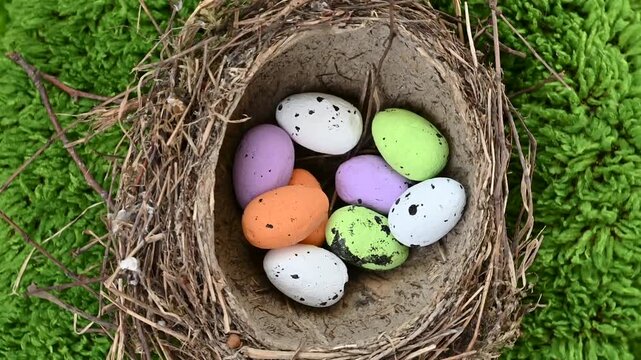 A video of Easter eggs and a bird's nest