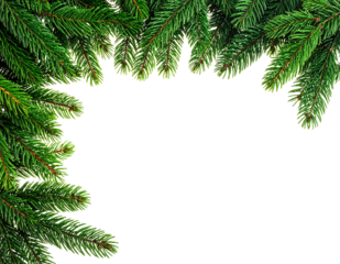 christmas tree branches border