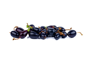 Gooseberry and black currant hybrid (Josta) isolated on white background
