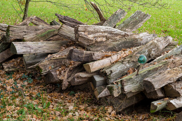 Weathered woodpile with logs, decaying timber, and glass insulator