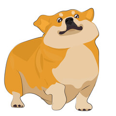 Funny corgi face – cute goofy cartoon dog illustration