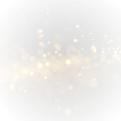 Golden glitter sparkles float gently across luminous bokeh. Tiny dust particles shimmer subtly. Perfect overlay for luxury or festive graphics. PNG
