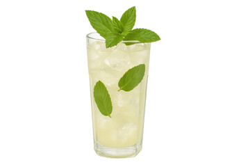 Tall glass of light mojito with mint leaves and ice