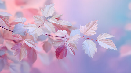 Subtle gradient of white to pink leaves over pastel backdrop
