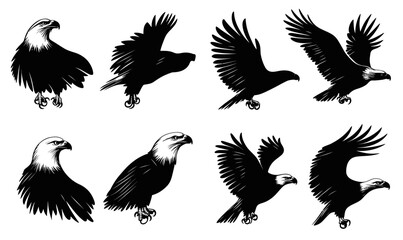 Obraz premium Set of bald eagle silhouettes in various flying and perched poses, black and white minimalist vector illustrations of powerful raptors with detailed feathers and sharp beaks