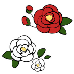 赤い椿の花と白い椿の花のイラスト