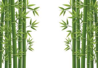 Obraz premium Green bamboo stalks with vibrant leaves framing a central dark space isolated on a transparent background