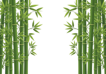 Green bamboo stalks with vibrant leaves framing a central dark space isolated on a transparent background
