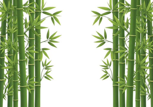 Green bamboo stalks with vibrant leaves framing a central dark space isolated on a transparent background