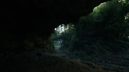 Obraz premium A serene cave entrance opens to a lush forest bathed in soft morning light. Shadows dance on the rocks as plants thrive in the scenic wilderness, creating an enchanting atmosphere.