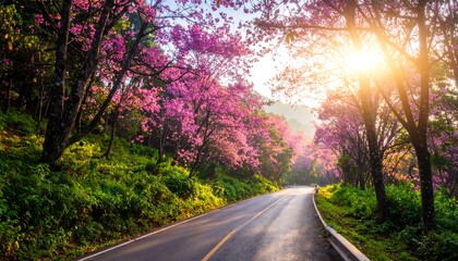 Fototapeta premium Winding road through a vibrant scene, flanked by blossoming pink trees under a radiant sun. Sunlight filters through creating a magical landscape