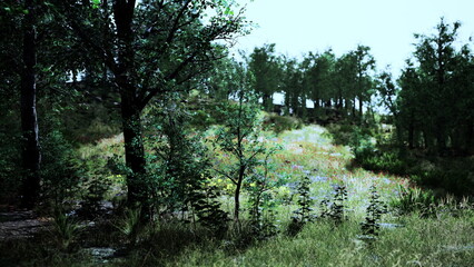 A sunlit meadow bursts with life, showcasing bright wildflowers amid tall grass and thriving trees. Natures beauty thrives in this peaceful setting, inviting relaxation and exploration.