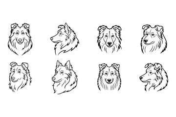 Eight elegant Collie dog head illustrations in various profiles and frontal views, rendered with sophisticated vector line art, ideal for conceptual pet designs