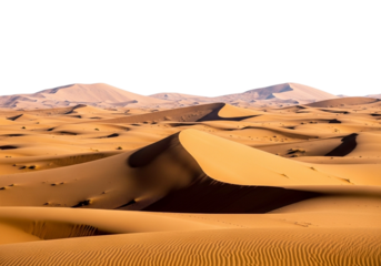 Vast golden sand dunes under a clear sky with distant mountains isolated on a transparent background