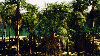 Vibrant palm trees fill the scene, their fronds dancing lightly in the warm, sunny breeze. A calm beach stretches out beyond, inviting relaxation and joy in natures beauty.