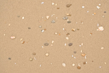 Sandy beach with shells, overhead view. OVar, Portugal 