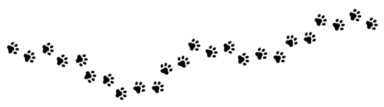 Pet, animal pawprint long path, dog paw track vector element