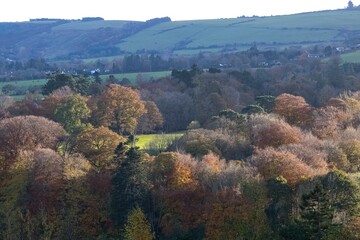Golden Irish landscapes with autumn hues, green meadows, mountain vistas, and sunlight playing through vibrant, multicolored leaves