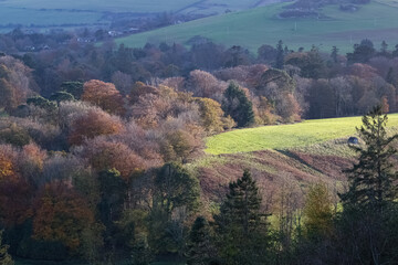 Obraz premium Golden Irish landscapes with autumn hues, green meadows, mountain vistas, and sunlight playing through vibrant, multicolored leaves