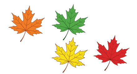 Fototapeta premium Set of four colorful maple leaves representing the changing seasons, from green summer to the vibrant red, orange, and yellow of autumn.