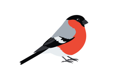 Beautiful illustration of a bullfinch bird with its characteristic red, grey, and black plumage, shown in a side view profile.