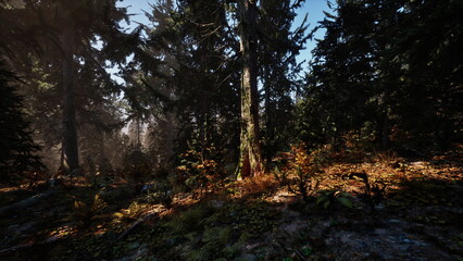 Sunlight streams through tall trees, illuminating the forest floor covered in colorful leaves and greenery. A serene atmosphere invites exploration and appreciation of natures beauty.