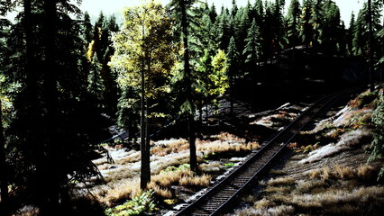 Lush green trees surround a winding train track under a bright sun. The serenity of nature blends with the quietness, creating a peaceful outdoor scene during midday.