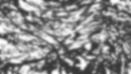 Black and white tree canopy shadow texture designed with alpha channel for seamless blending in graphic projects, 2d render with blur effect