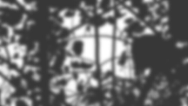 Tree shadow transparent mask with soft dappled leaf patterns for photo video or design overlay projects, 2d render with blur effect