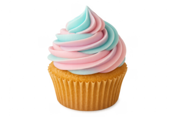 Cupcake with pink and blue swirled frosting